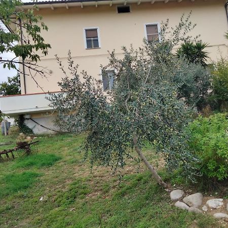 Casa Il Canto トルトレート エクステリア 写真